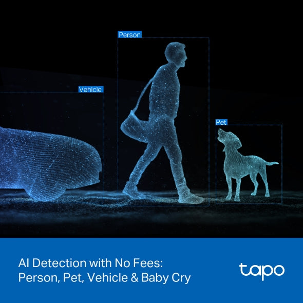 TP-LINK Tapo C246D Indoor/Outdoor Security Camera