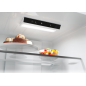 CANDY CNCQ2T518EX Fridge Freezer, H182.5cm x W54.5cm x D60.2cm, 279L