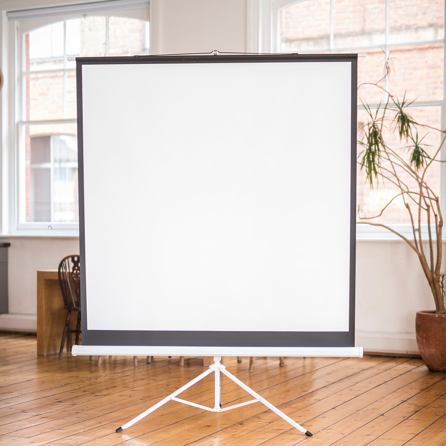 AV:Link Projector Screen Tripod 4:3 100" 2.0x1.5 952.335UK