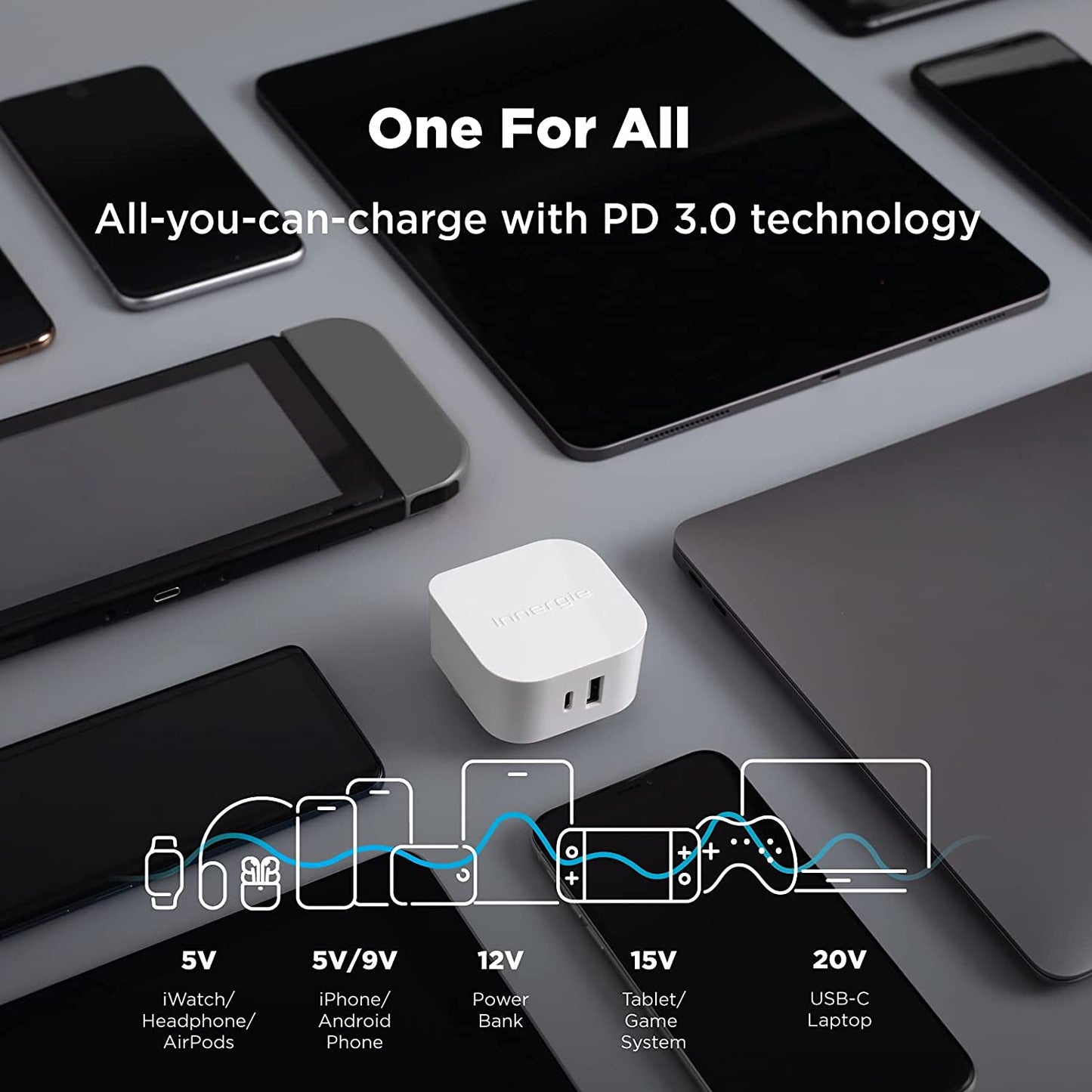 Innergie 45H USB-C One for All Wall Charger 45W UK