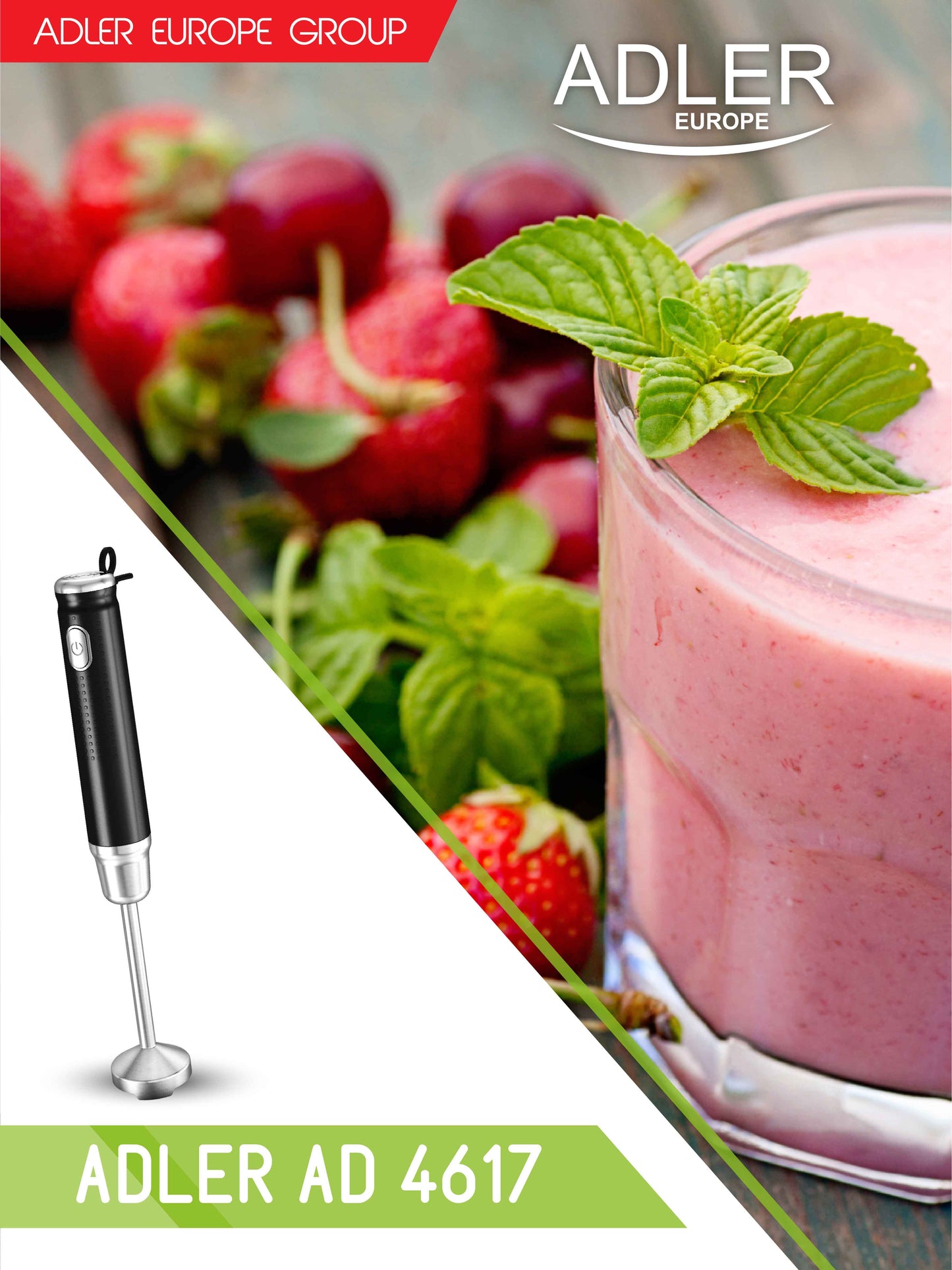Adler AD4617 Hand Blender 350W