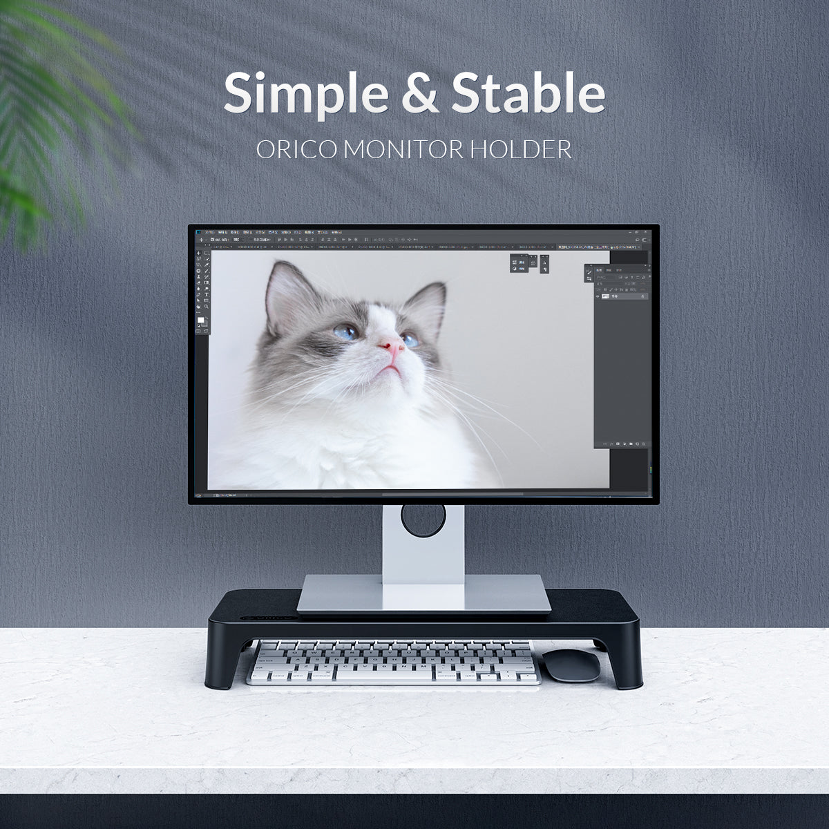 Orico Stand Monitor ABS Black BD-01
