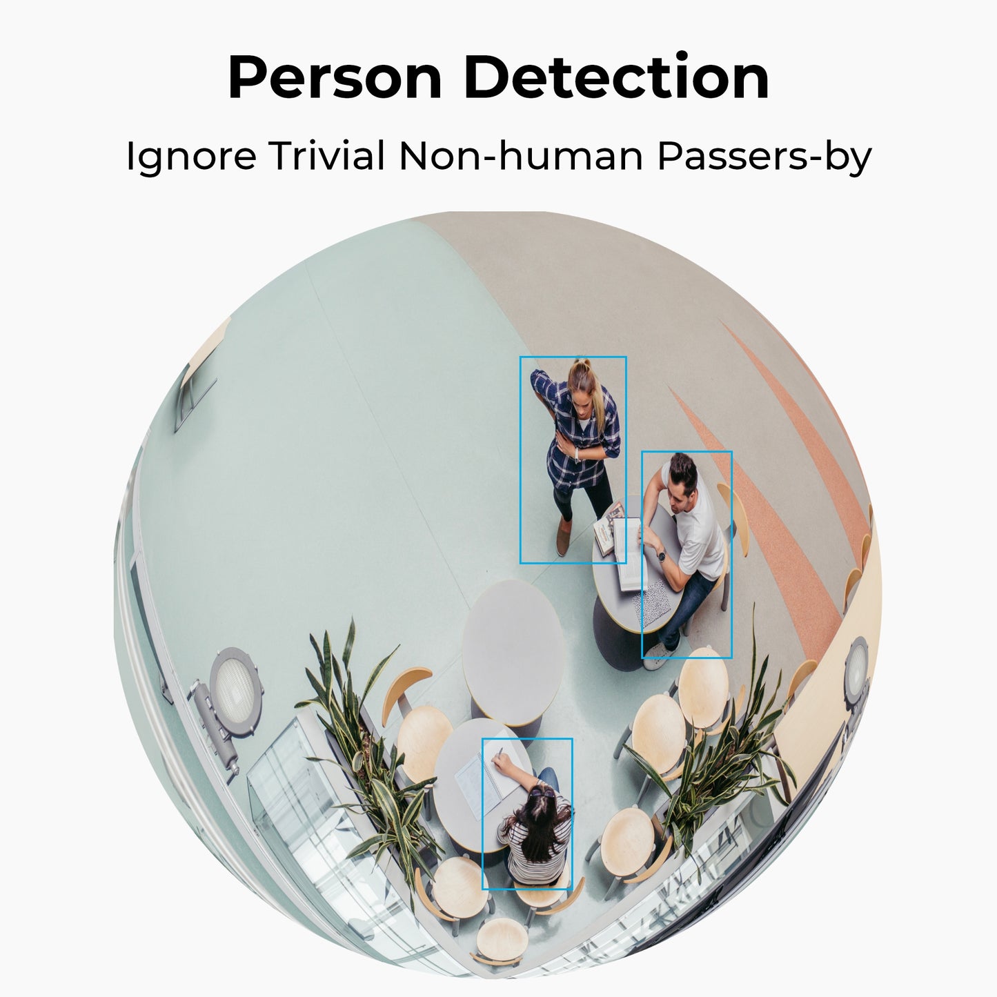 Reolink W520 WIFI Indoor Panoramic 6MP Fisheye Camera (FE-W)