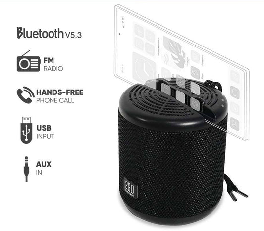 SonicGear AudioBox 2GO-Dock100 Portable BT/FM Speaker with Dock Black