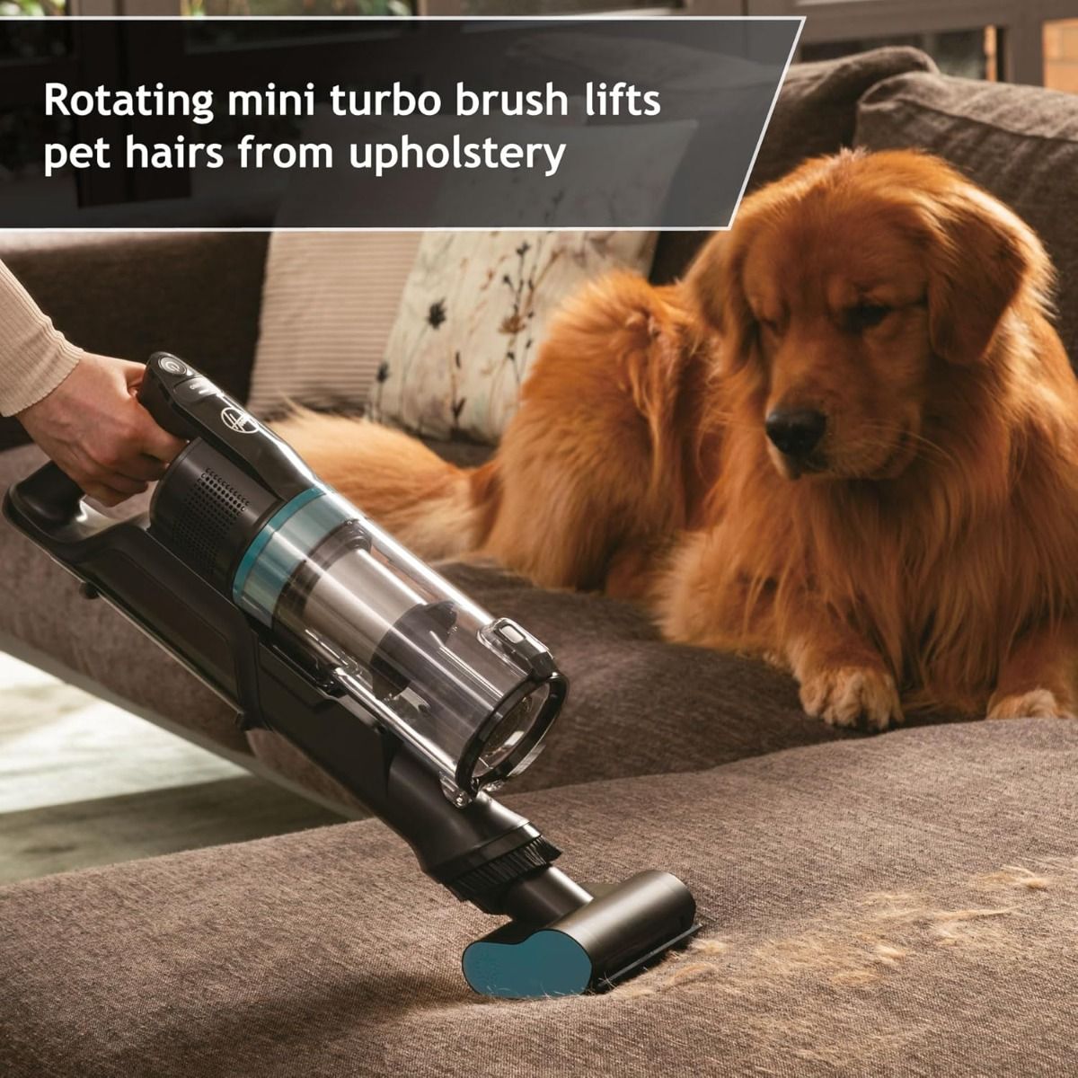 Hoover HF1P10P Cordless Vacuum Cleaner, Pet, 0.7L, Flexi Tube