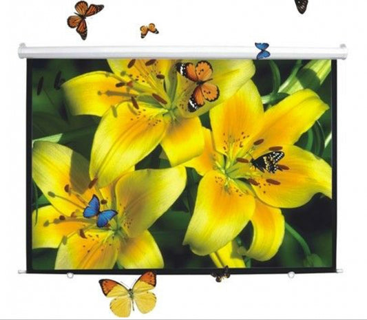 DigitMX DMX-PSM150.43 Manual Projector Screen 4:3 150'' 3.00x2.25