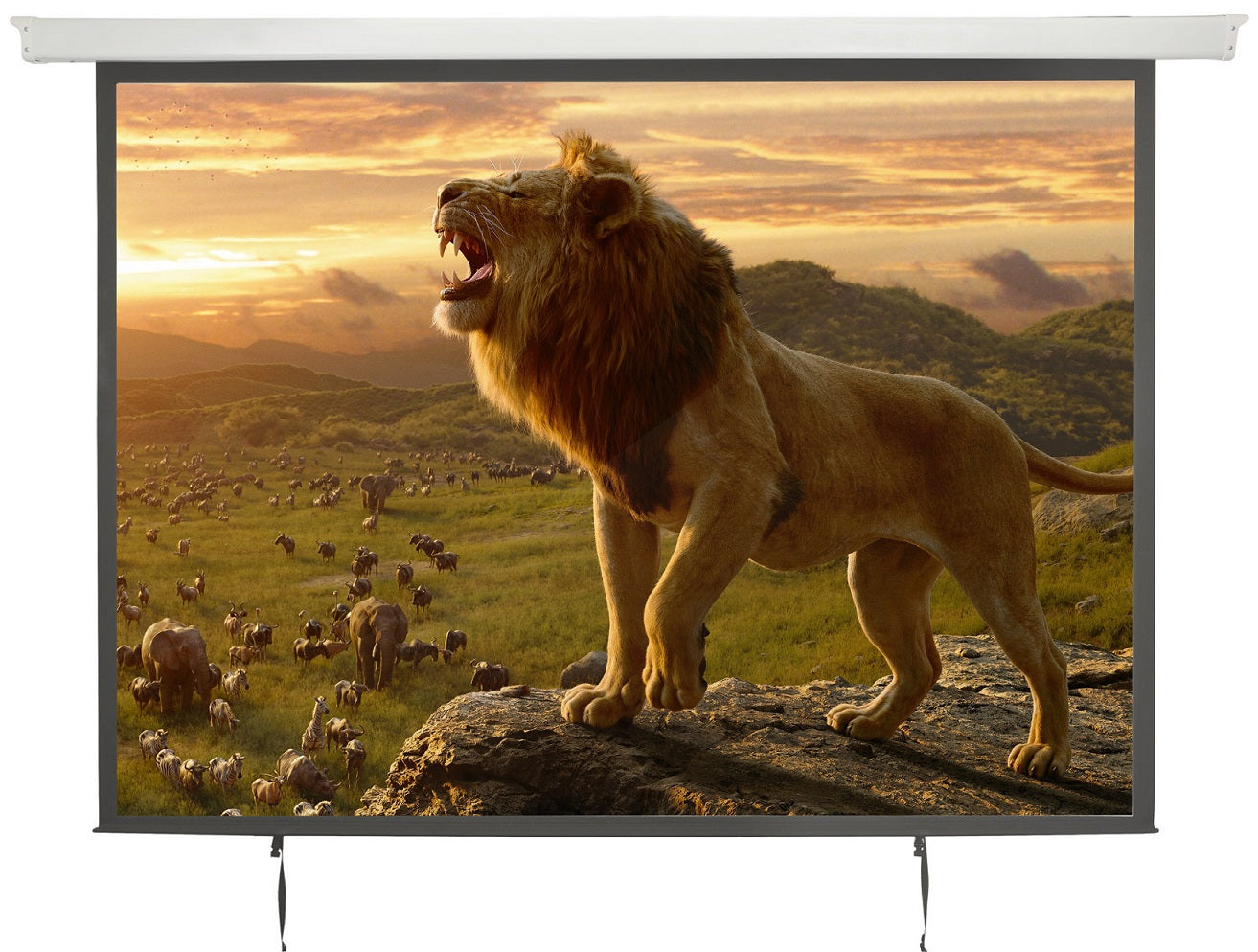 AV:Link Electric Screen 4:3 100