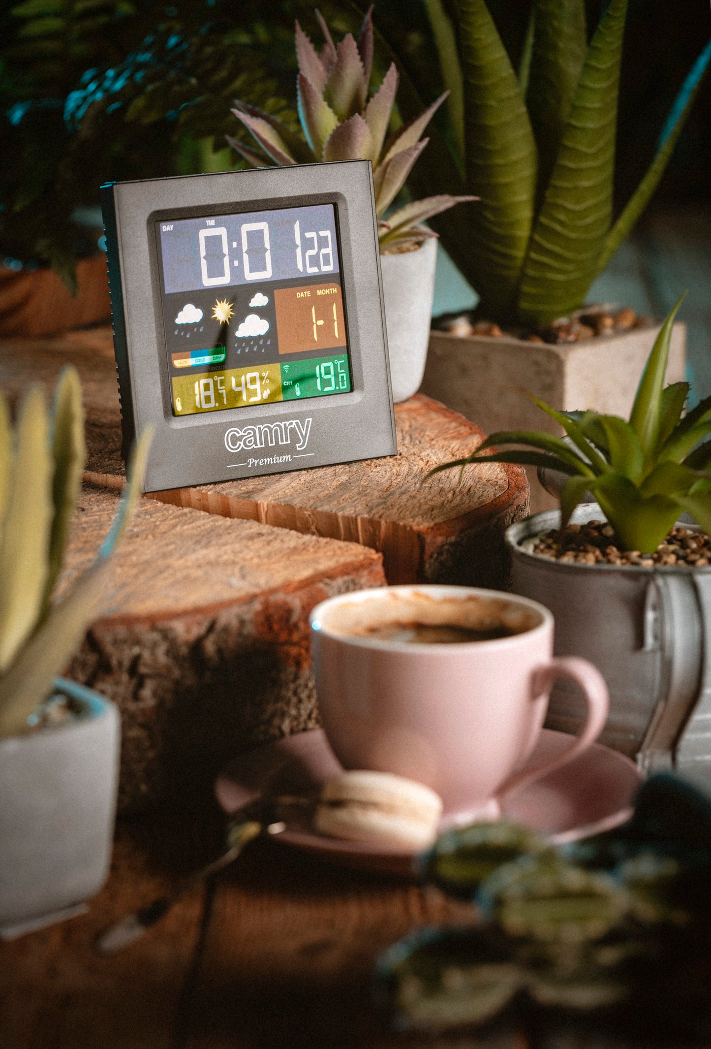 Camry CR1166 Weather Station