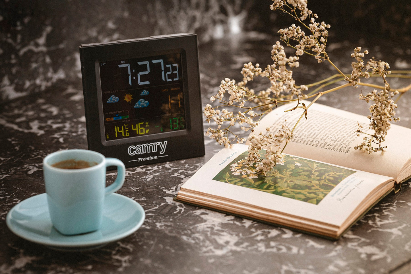 Camry CR1166 Weather Station