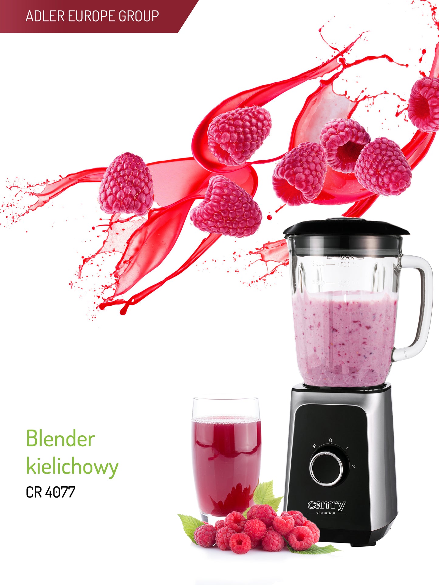 Camry CR4077 Blender 1000W with Crush Ice and Pulse Function